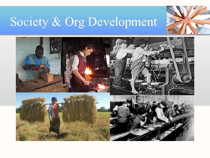 Society & Org Development 