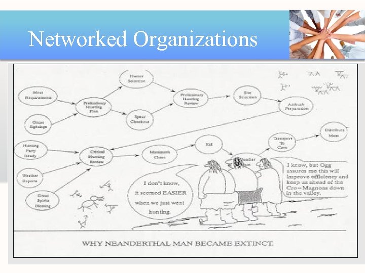 Networked Organizations 