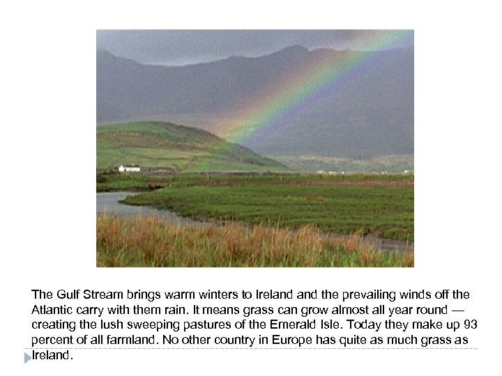 The Gulf Stream brings warm winters to Ireland the prevailing winds off the Atlantic