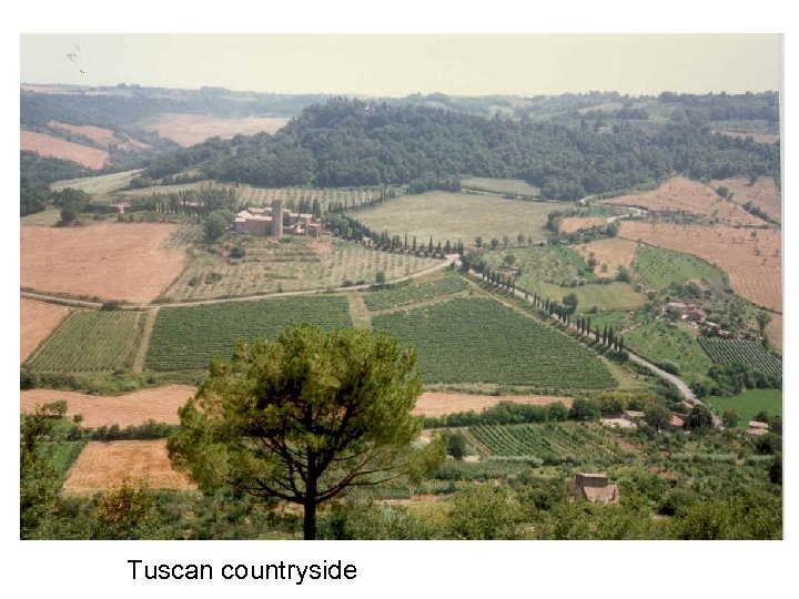 Tuscan countryside 