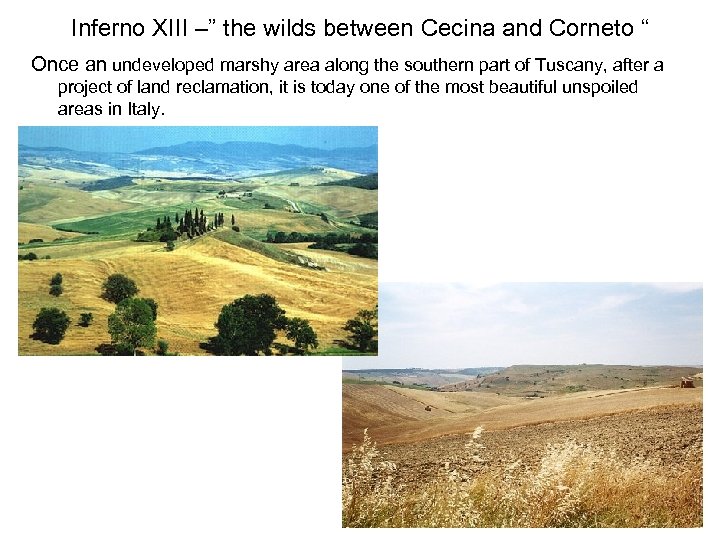 Inferno XIII –” the wilds between Cecina and Corneto “ Once an undeveloped marshy