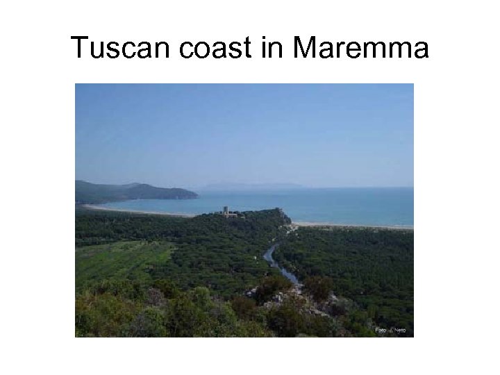 Tuscan coast in Maremma 
