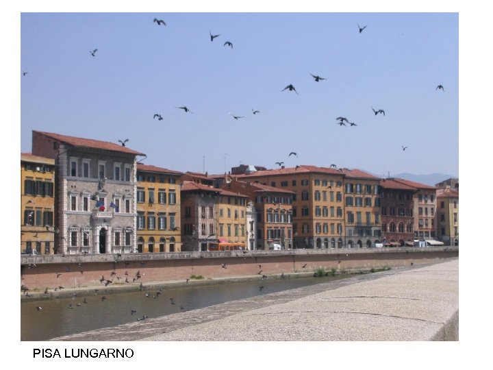 PISA LUNGARNO 