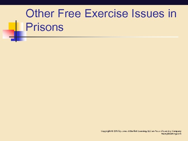 Other Free Exercise Issues in Prisons 