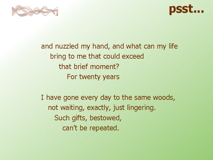 psst. . . and nuzzled my hand, and what can my life bring to
