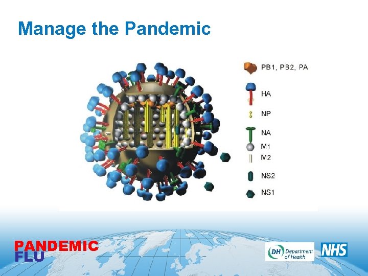 Manage the Pandemic PANDEMIC FLU 