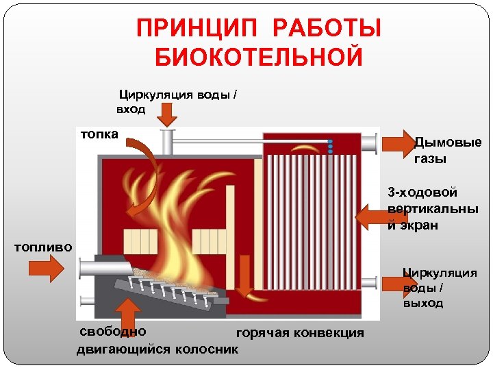 ПРИНЦИП РАБОТЫ БИОКОТЕЛЬНОЙ Циркуляция воды / вход топка Дымовые газы 3 -ходовой вертикальны й
