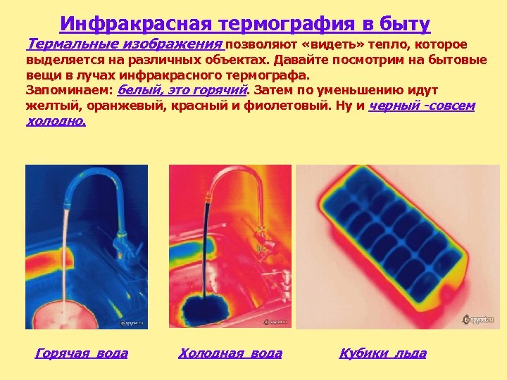  Инфракрасная термография в быту Термальные изображения позволяют «видеть» тепло, которое выделяется на различных