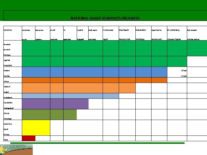 NATIONAL CAADP COMPACTS PROGRESS Countries Government Focal persons CAADP TC Experts Draft report TC