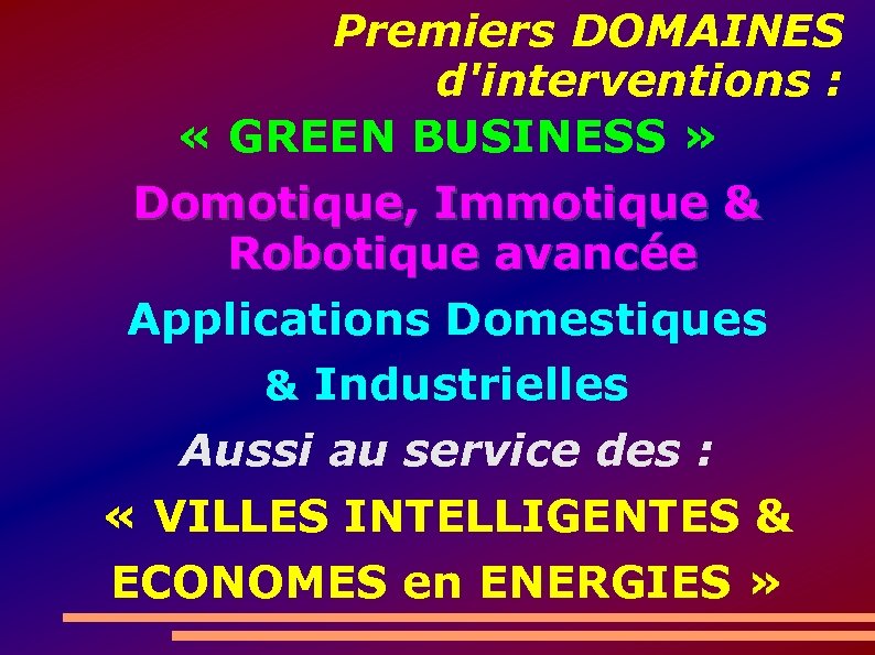 Premiers DOMAINES d'interventions : « GREEN BUSINESS » Domotique, Immotique & Robotique avancée Applications