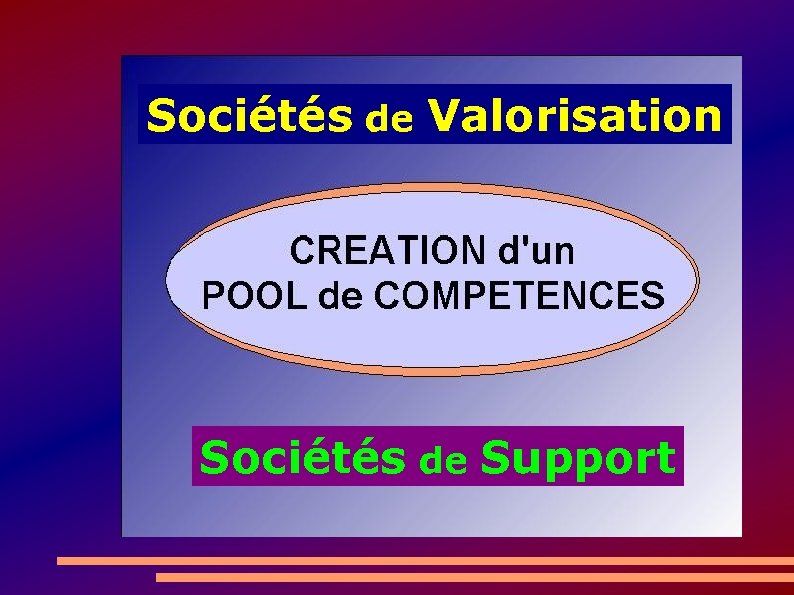 Sociétés de Valorisation Sociétés de Support 