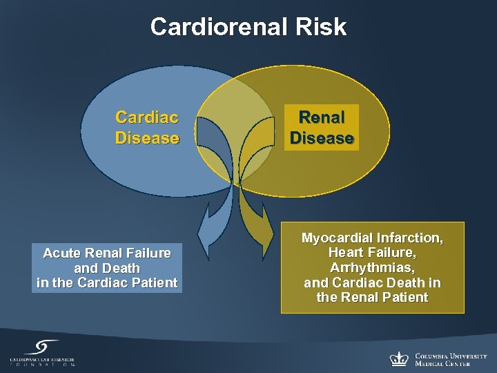 Cardiorenal Risk Cardiac Disease Acute Renal Failure and Death in the Cardiac Patient Renal