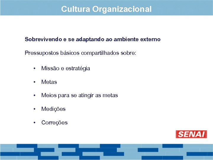 Cultura Organizacional Sobrevivendo e se adaptando ao ambiente externo Pressupostos básicos compartilhados sobre: •