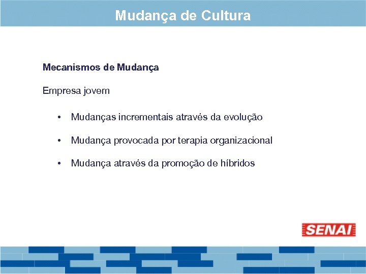 Mudança de Cultura Mecanismos de Mudança Empresa jovem • Mudanças incrementais através da evolução