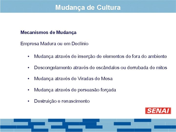 Mudança de Cultura Mecanismos de Mudança Empresa Madura ou em Declínio • Mudança através