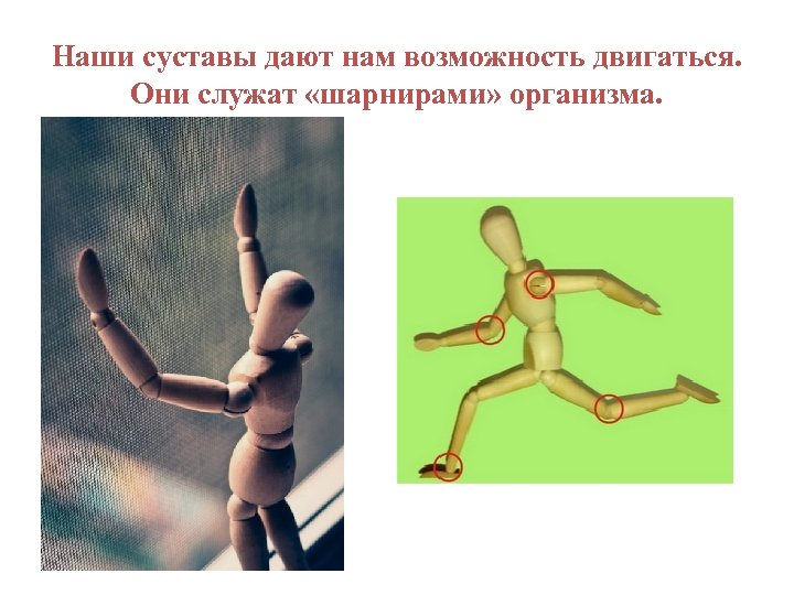 Наши суставы дают нам возможность двигаться. Они служат «шарнирами» организма. 