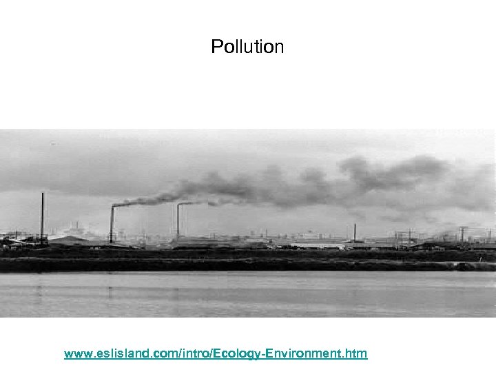 Pollution www. eslisland. com/intro/Ecology-Environment. htm 