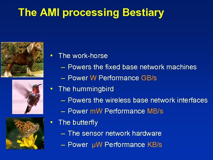 The AMI processing Bestiary • The work-horse – Powers the fixed base network machines