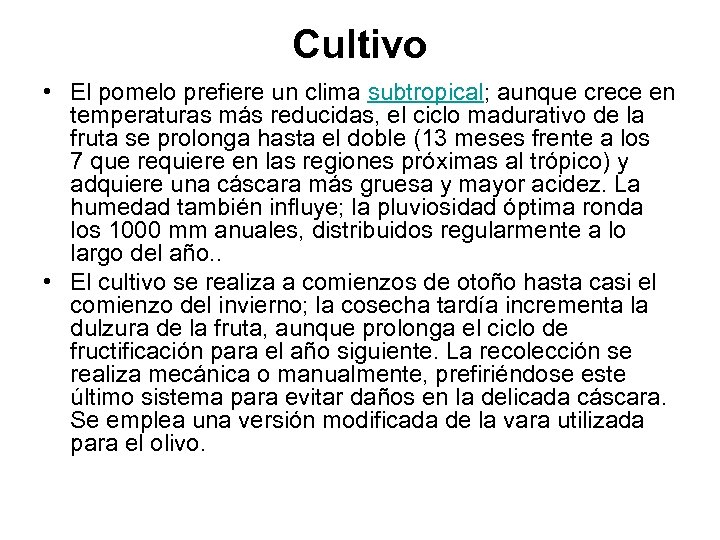 Cultivo • El pomelo prefiere un clima subtropical; aunque crece en temperaturas más reducidas,