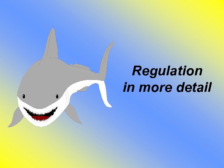 Regulation in more detail 