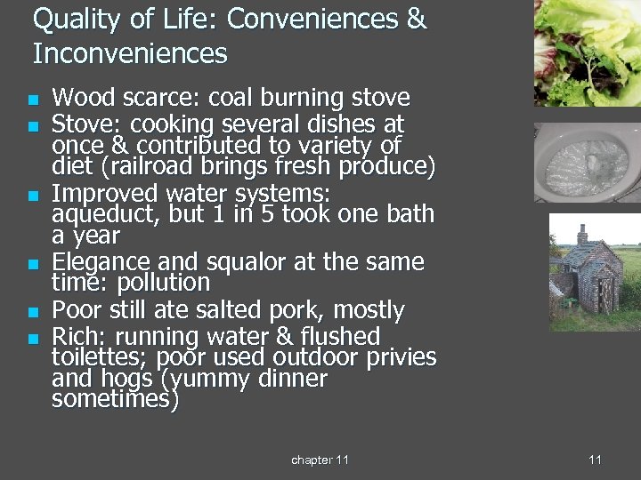 Quality of Life: Conveniences & Inconveniences n n n Wood scarce: coal burning stove