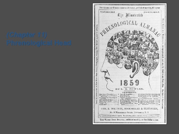 (Chapter 11) Phrenological Head 
