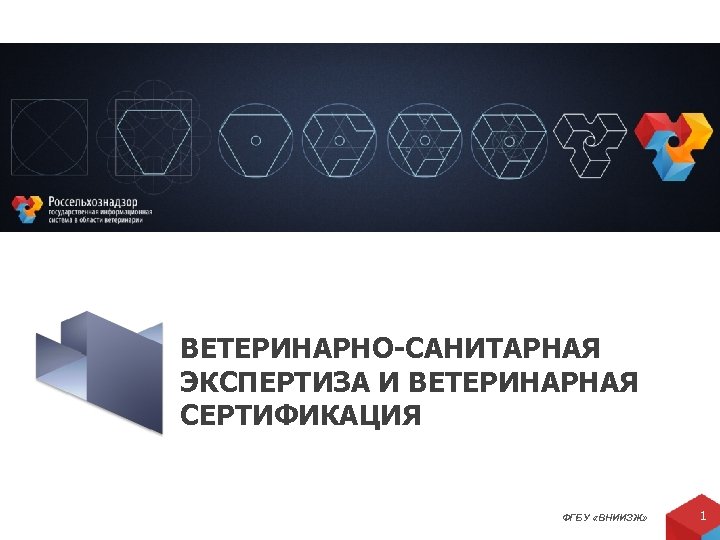 ВЕТЕРИНАРНО-САНИТАРНАЯ ЭКСПЕРТИЗА И ВЕТЕРИНАРНАЯ СЕРТИФИКАЦИЯ ФГБУ «ВНИИЗЖ» 1 