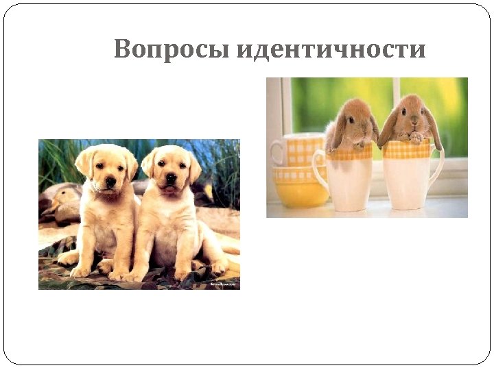 Вопросы идентичности 