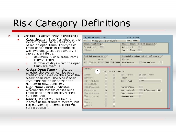 Risk Category Definitions o E – Checks – (active only if checked) n Open