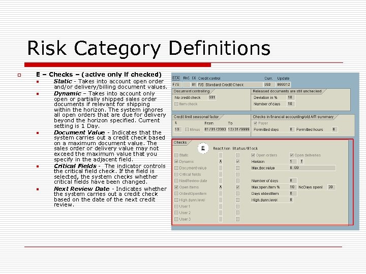 Risk Category Definitions o E – Checks – (active only if checked) n n