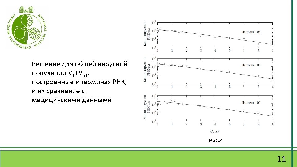 Решение для общей вирусной популяции V 1+Vn 1, построенные в терминах РНК, и их