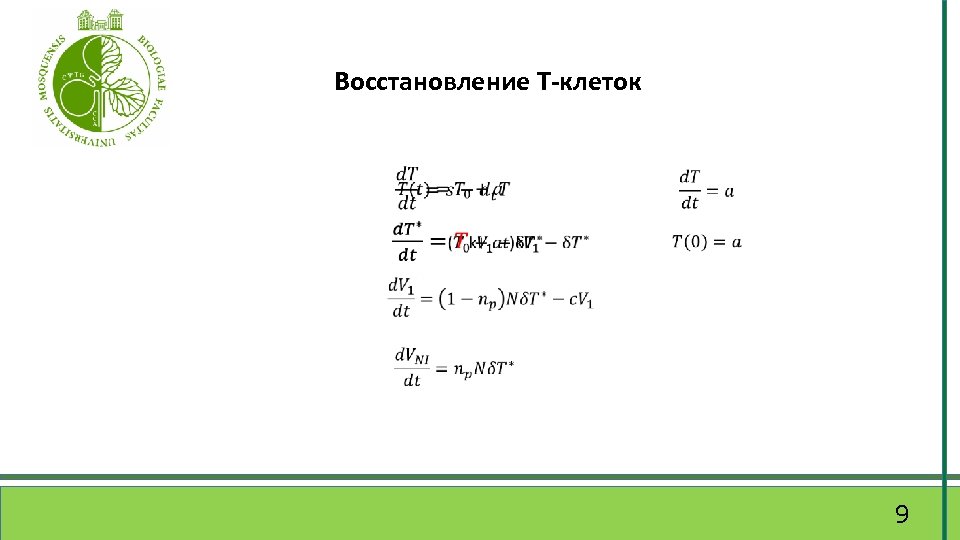 Восстановление Т-клеток 9 