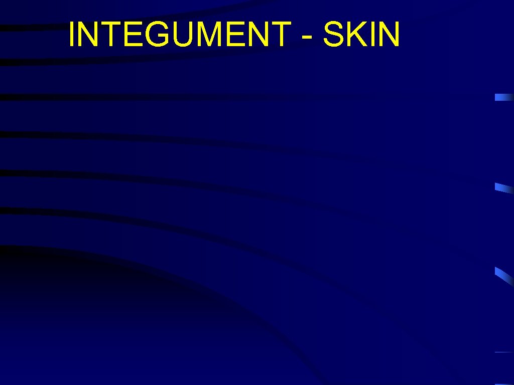 INTEGUMENT - SKIN 