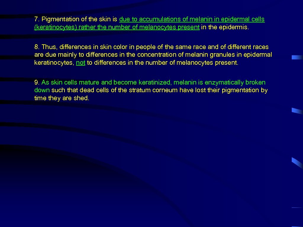 7. Pigmentation of the skin is due to accumulations of melanin in epidermal cells