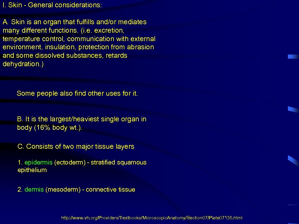 I. Skin - General considerations: A. Skin is an organ that fulfills and/or mediates