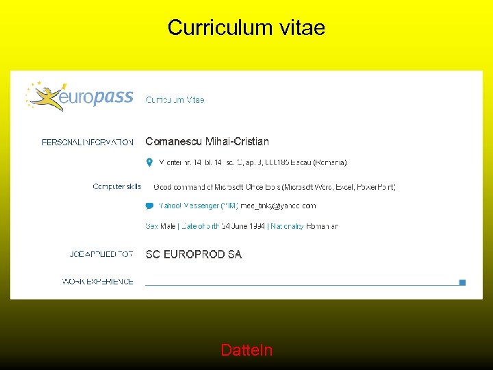 Curriculum vitae Datteln 