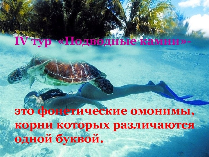 IV тур «Подводные камни» - это фонетические омонимы, корни которых различаются одной буквой. 