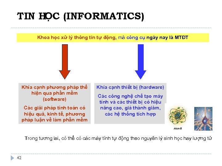 TIN HỌC (INFORMATICS) Khoa học xử lý thông tin tự động, mà công cụ