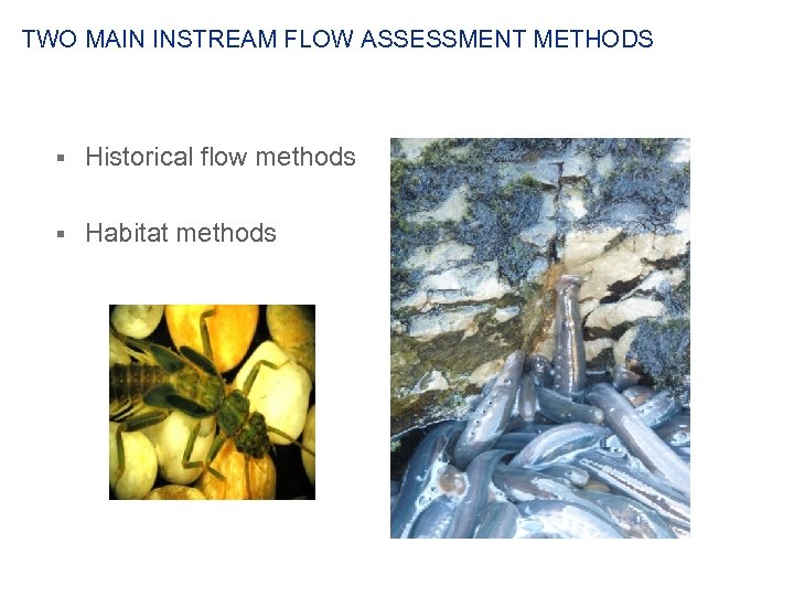TWO MAIN INSTREAM FLOW ASSESSMENT METHODS § Historical flow methods § Habitat methods 