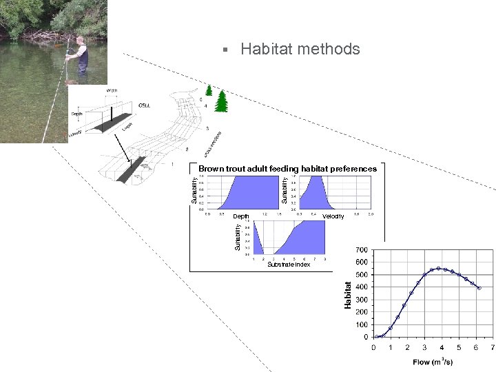 § Habitat methods Suitability Brown trout adult feeding habitat preferences Velocity Suitability Depth Habitat