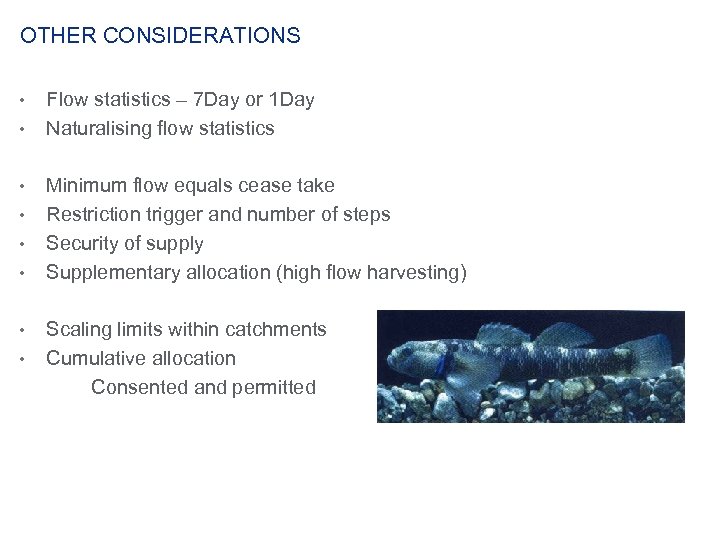 OTHER CONSIDERATIONS • • Flow statistics – 7 Day or 1 Day Naturalising flow