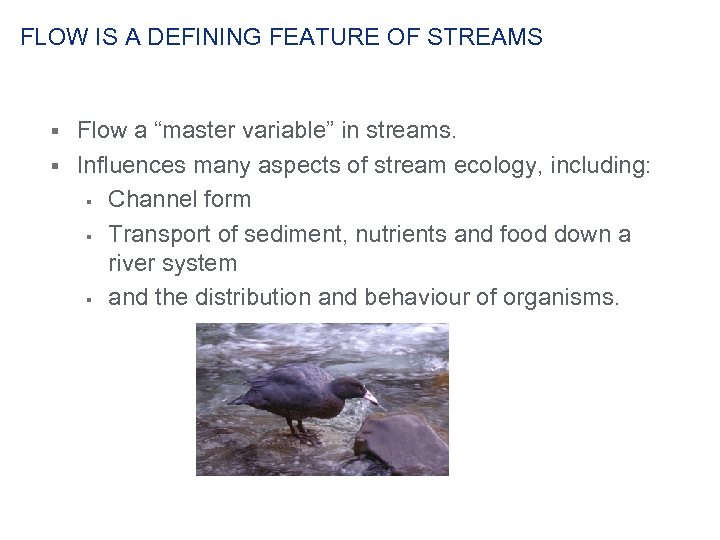 FLOW IS A DEFINING FEATURE OF STREAMS Flow a “master variable” in streams. §