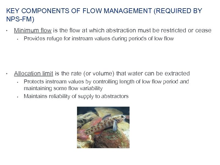 KEY COMPONENTS OF FLOW MANAGEMENT (REQUIRED BY NPS-FM) • Minimum flow is the flow