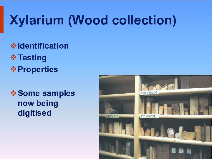 Xylarium (Wood collection) v Identification v Testing v Properties v Some samples now being