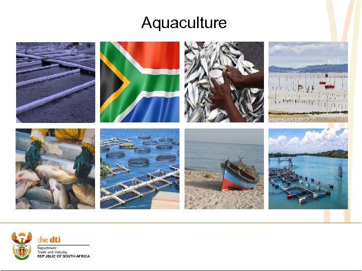 Aquaculture 