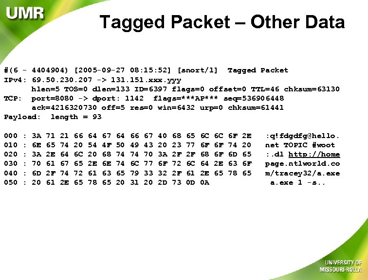 Tagged Packet – Other Data #(6 - 4404904) [2005 -09 -27 08: 15: 52]