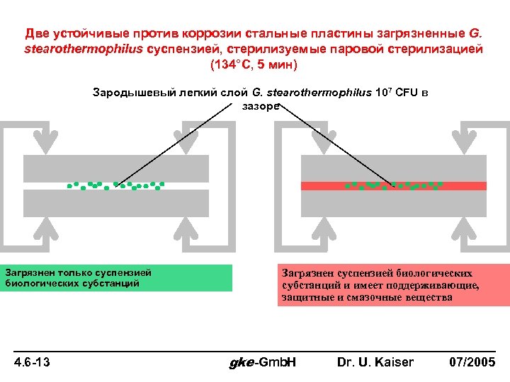 Две устойчивые против коррозии стальные пластины загрязненные G. stearothermophilus суспензией, стерилизуемые паровой стерилизацией (134°C,