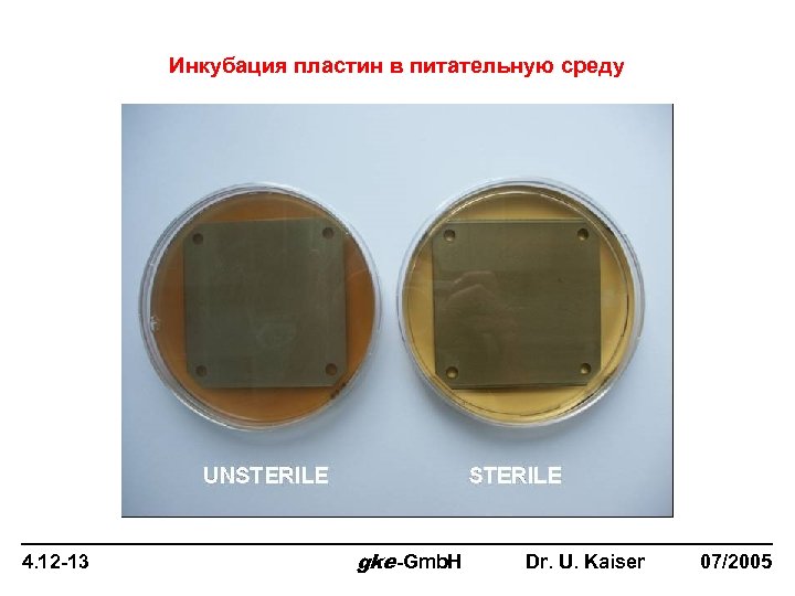 Инкубация пластин в питательную среду 4. 12 -13 gke-Gmb. H Dr. U. Kaiser 07/2005