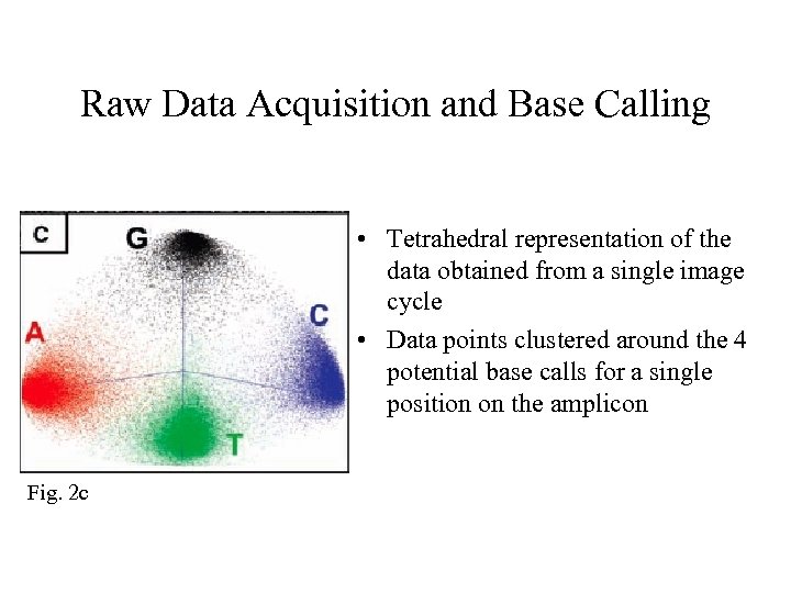 Raw Data Acquisition and Base Calling • Tetrahedral representation of the data obtained from