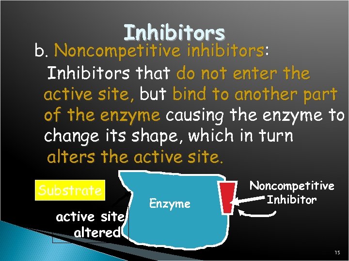 Inhibitors b. Noncompetitive inhibitors: Inhibitors that do not enter the active site, but bind